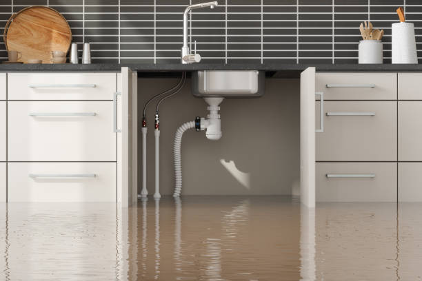 Best Water damage restoration mold remediation  in USA